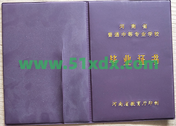 河南省工业学校2010年中专毕业证样本图  第2张