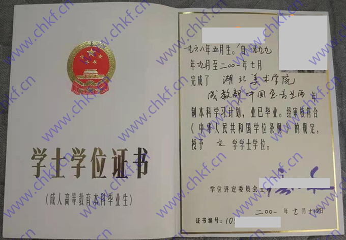 湖北美术学院2001年学士学位证样本