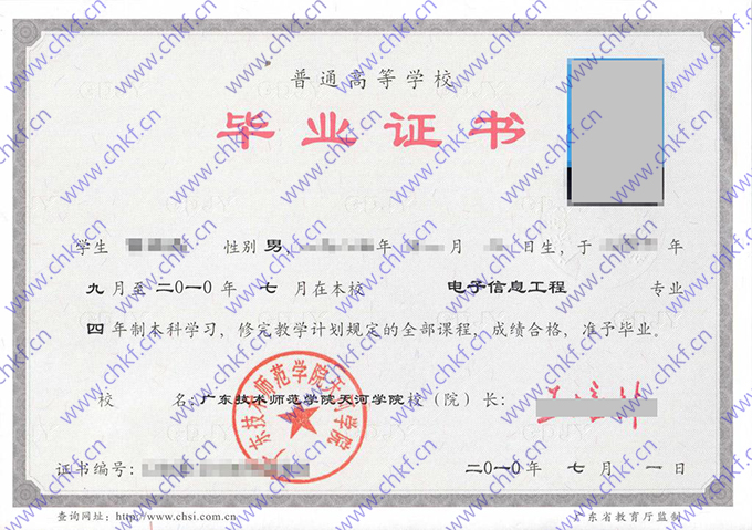 广东技术师范大学天河学院2010年大专毕业证样本